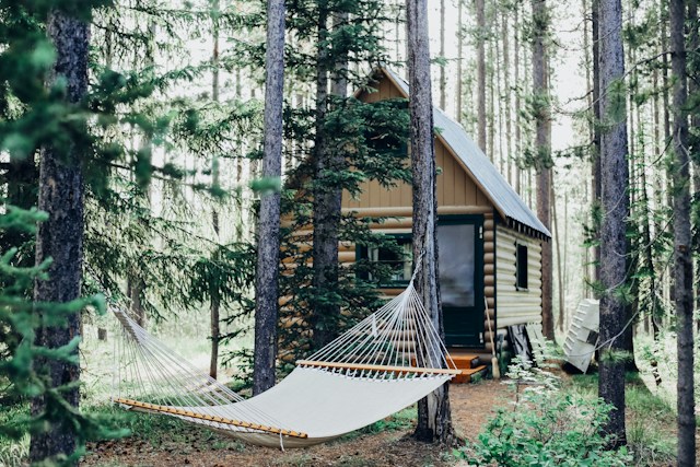 cabane du camping